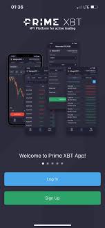 Account PrimeXBT Forex - A Comprehensive Overview