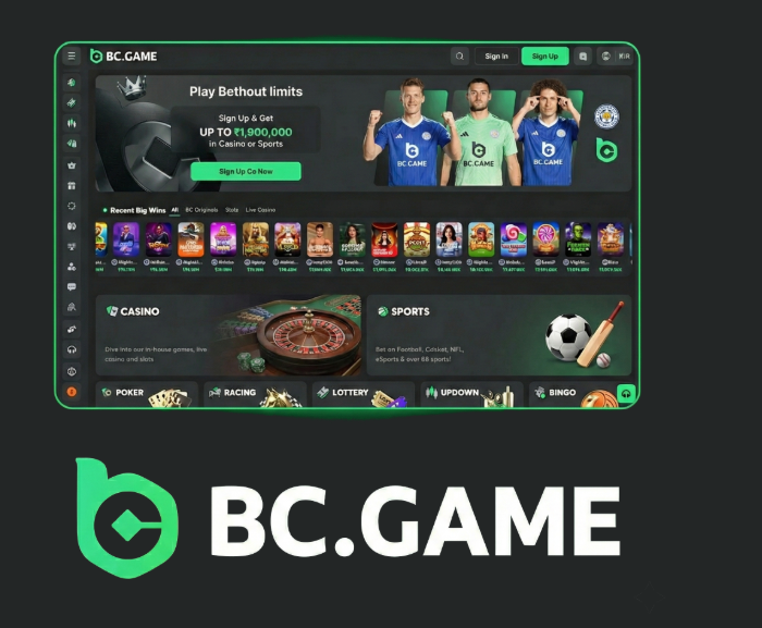 Step-by-Step Guide to the BC.Game Mirror Registration Process -281192666 Step-by-Step Guide to the BC.Game Mirror Registration Process -281192666